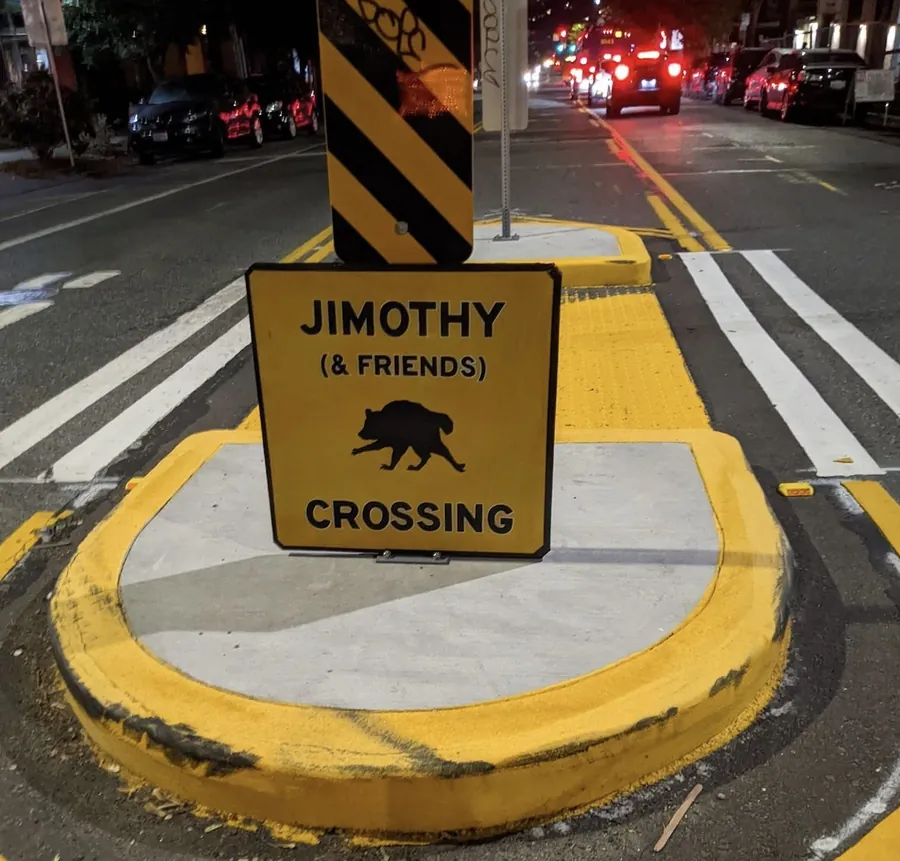 Yellow street sign reading JIMOTHY (and friends) CROSSING with a raccoon silhouette, on a traffic island at night